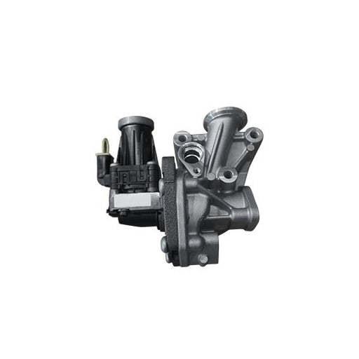 673247 EGR Valve
