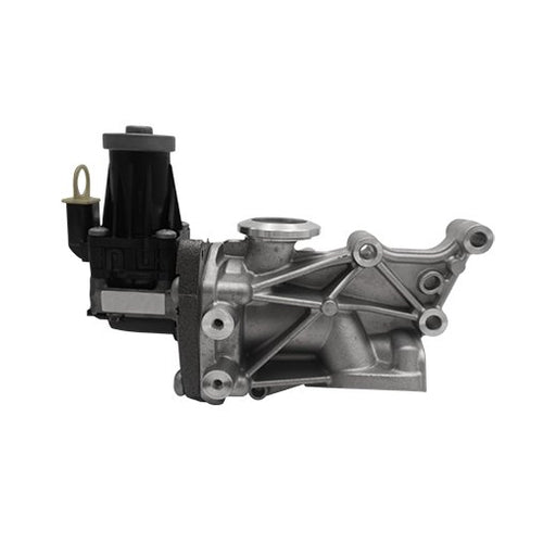 673250 EGR Valve