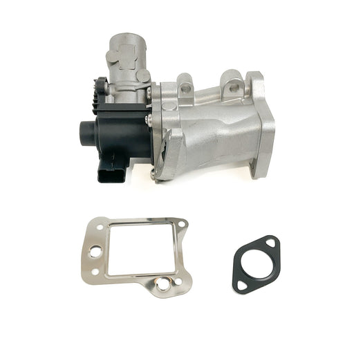 675020M EGR Valve