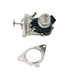675370M EGR Valve