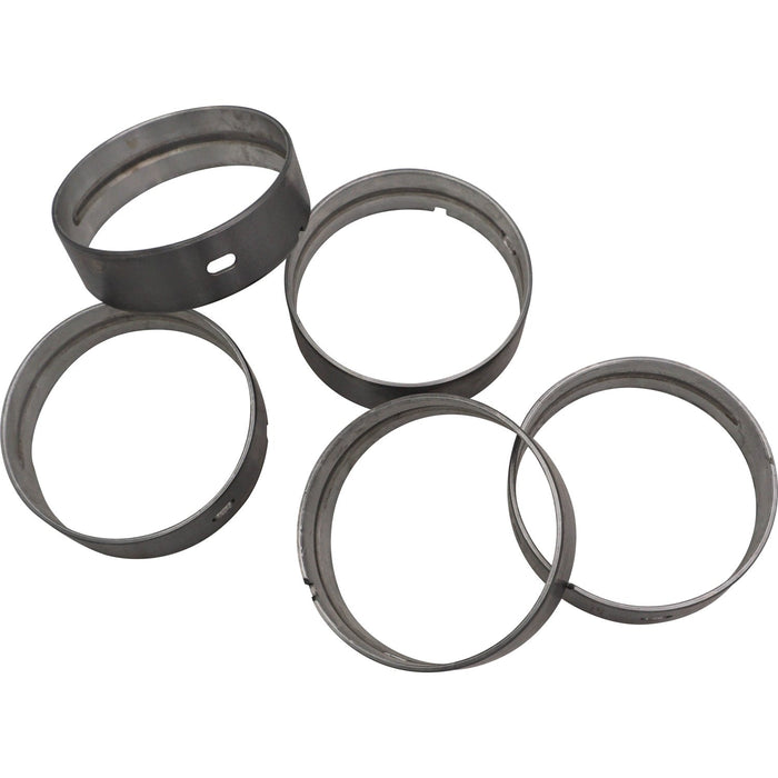 690370 Camshaft Bushes
