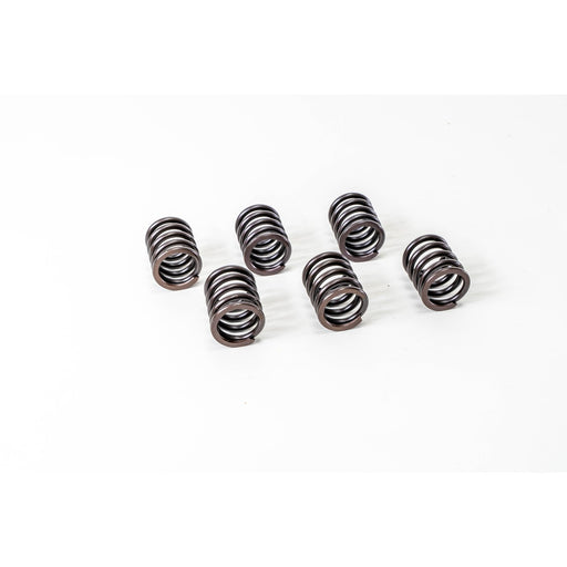 760000 Valve Spring