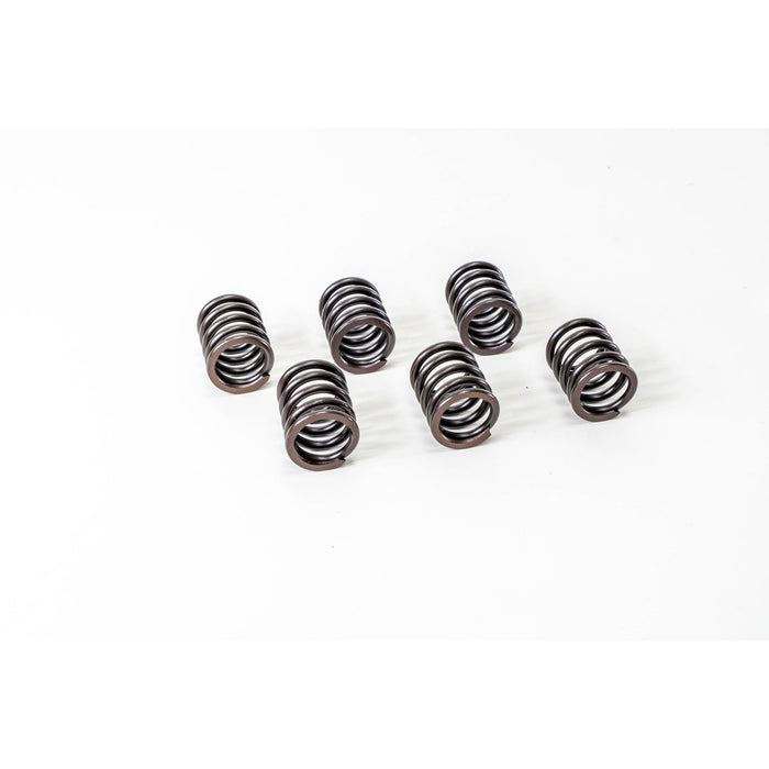 760000 Valve Spring
