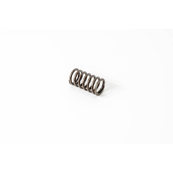 760003 Valve Spring
