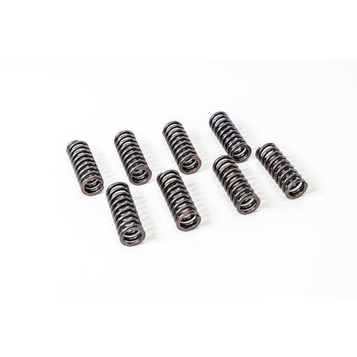 760040 Valve Spring