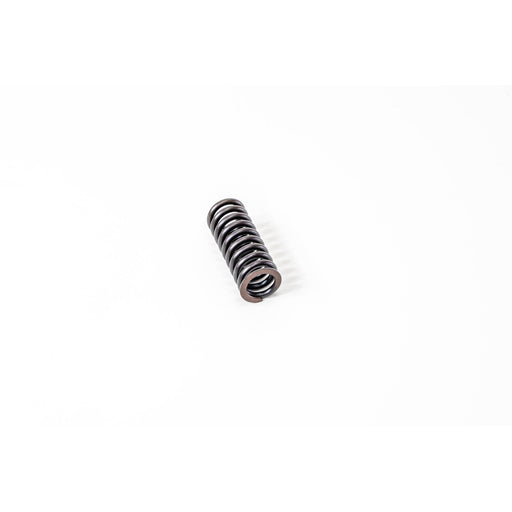 760041 Valve Spring