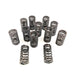 760050 Valve Spring