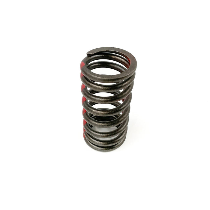 760051 Valve Spring