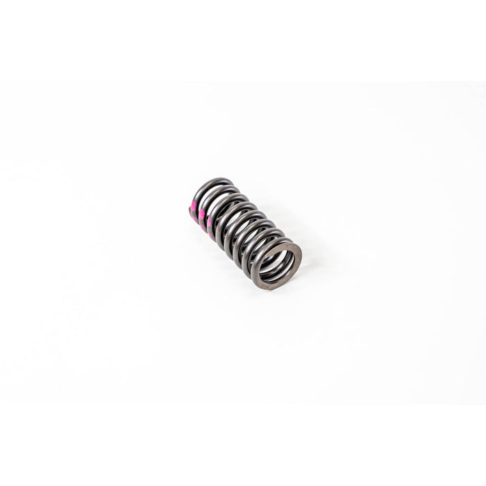 760100 Valve Spring