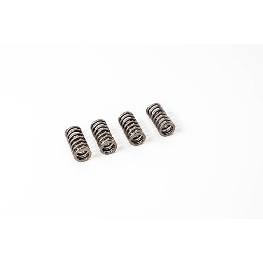 760120 Valve Spring