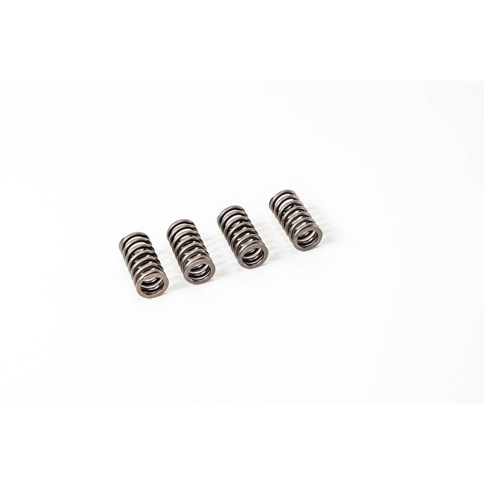 760120 Valve Spring