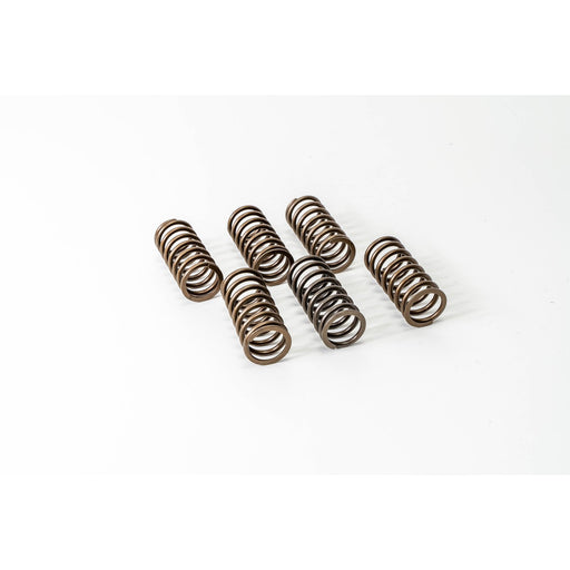 760180 Valve Spring