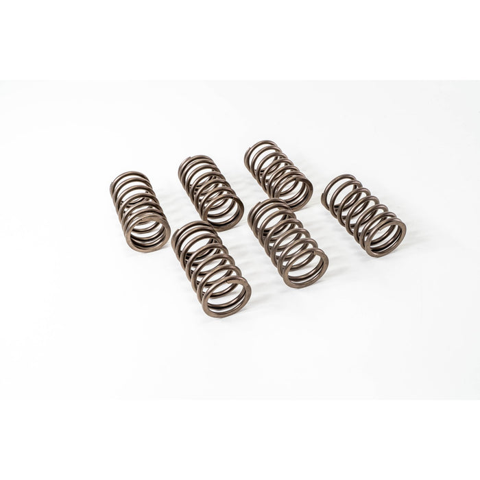 760210 Valve Spring