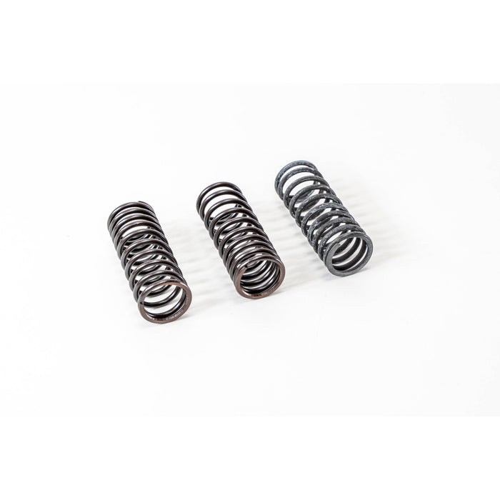 760220 Valve Spring