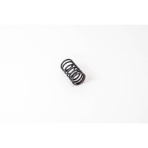 760240 Valve Spring