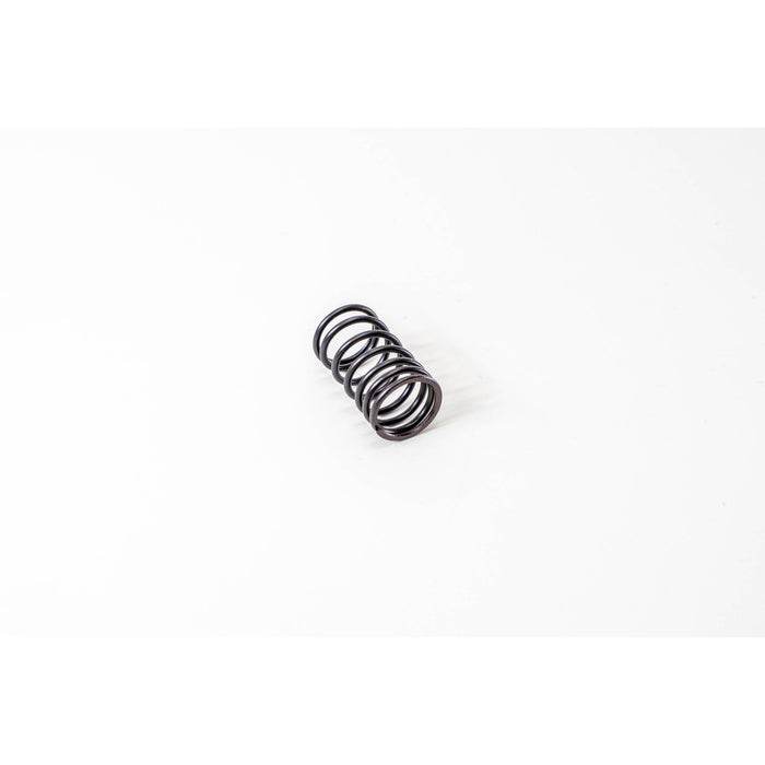 760240 Valve Spring