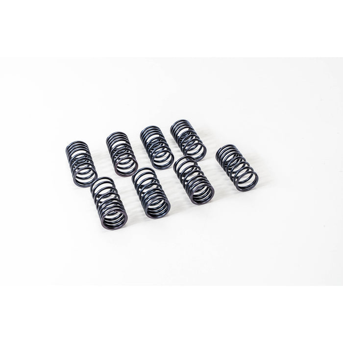 760250 Valve Spring