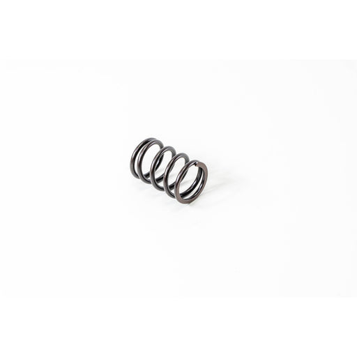 760260 Valve Spring