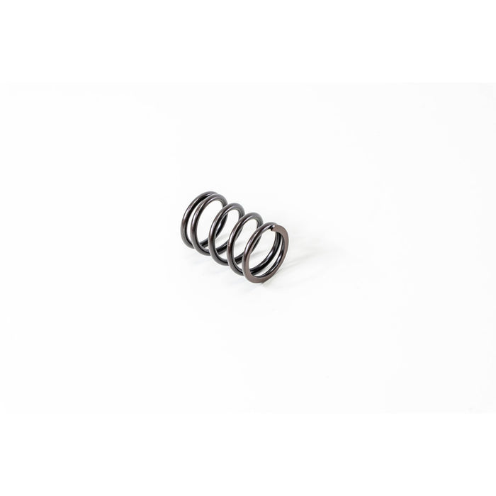 760260 Valve Spring