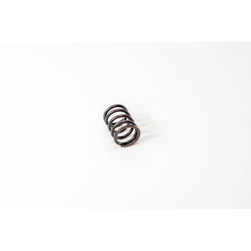 760270 Valve Spring