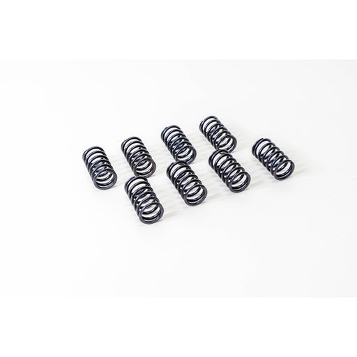 760280 Valve Spring
