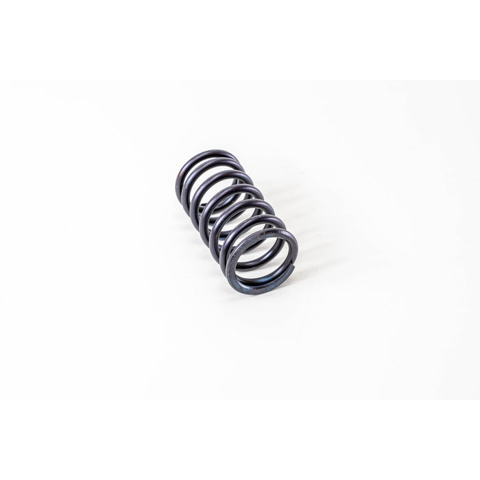 760300 Valve Spring