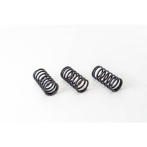 760310 Valve Spring