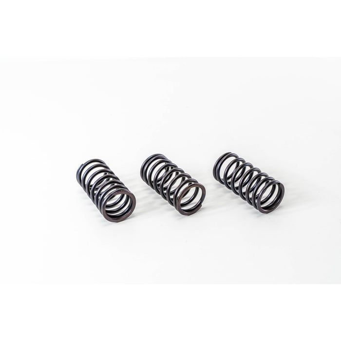 760310 Valve Spring