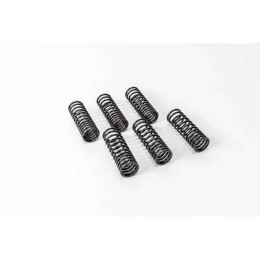 760320 Valve Spring