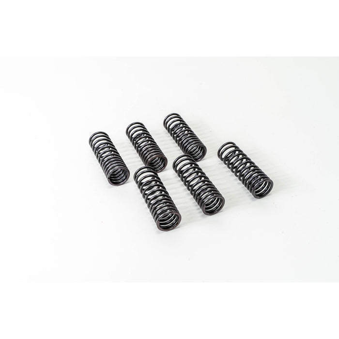 760320 Valve Spring