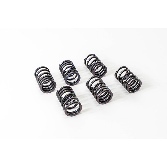 760340 Valve Spring