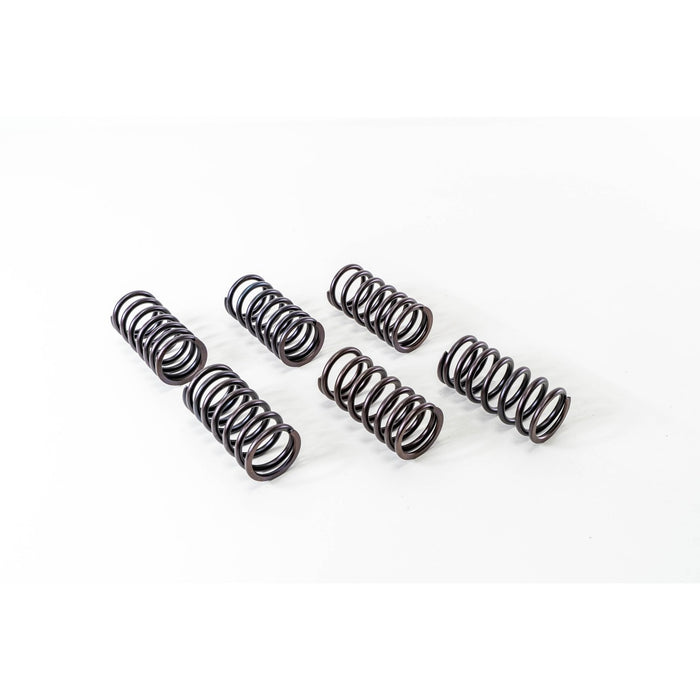 760350 Valve Spring