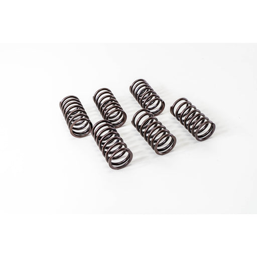760360 Valve Spring
