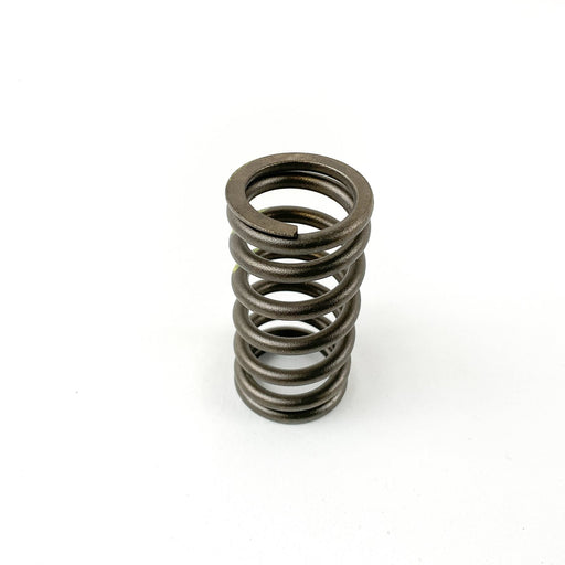 760380 Valve Spring