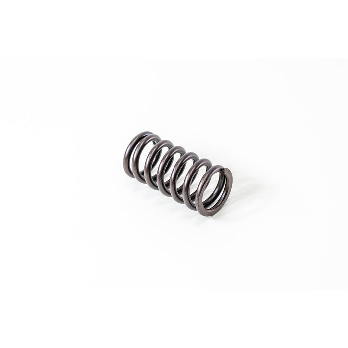 760390 Valve Spring
