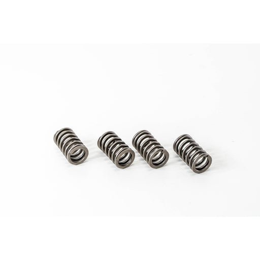 760400 Valve Spring
