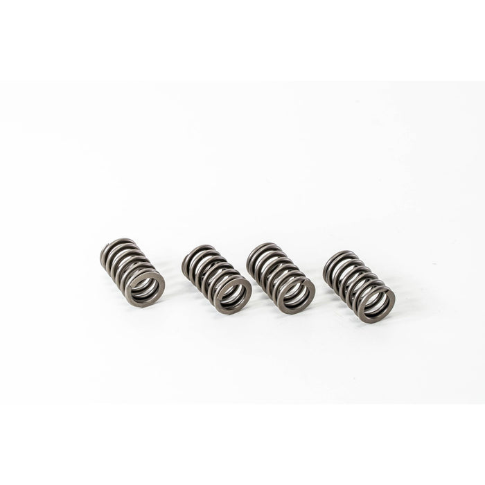 760400 Valve Spring