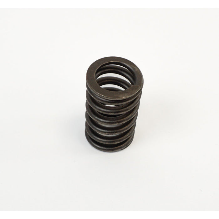 760401 Valve Spring