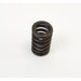760401 Valve Spring