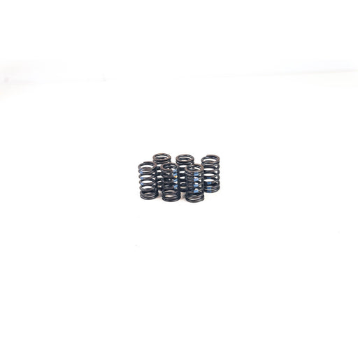 760410 Valve Spring