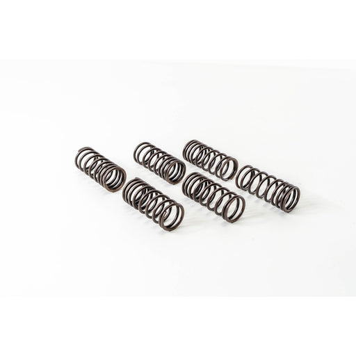 760490 Valve Spring
