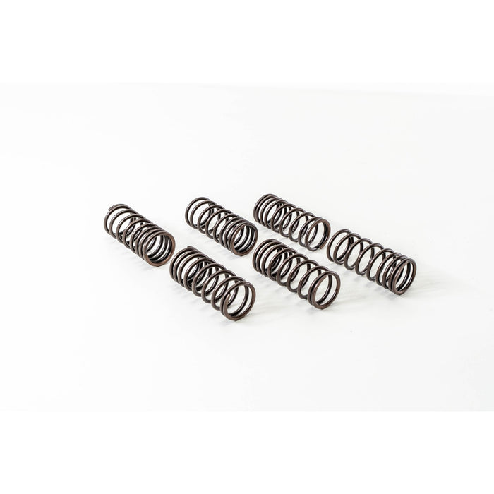 760490 Valve Spring