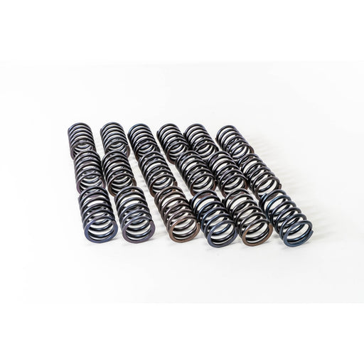 760500 Valve Spring