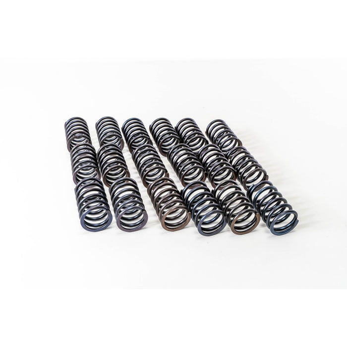 760500 Valve Spring