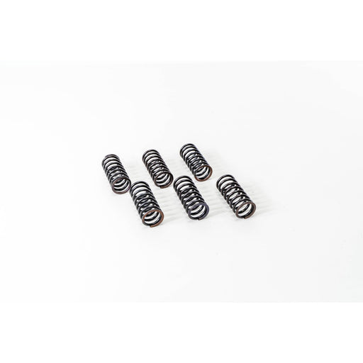 760510 Valve Spring