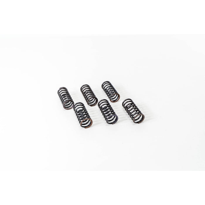 760510 Valve Spring