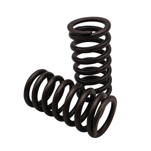 760530 Valve Spring