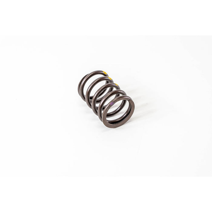 760730 Valve Spring