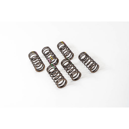 760740 Valve Spring