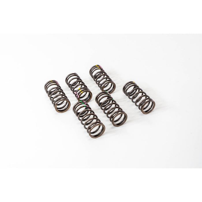 760740 Valve Spring